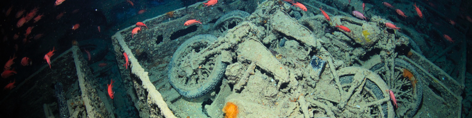 SS Thistlegorm